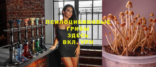 ALPHA PVP Армянск