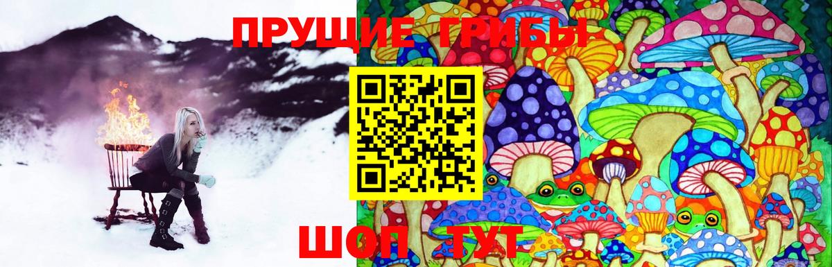 Псилоцибиновые грибы прущие грибы  Вход с VPN  Светлоград 